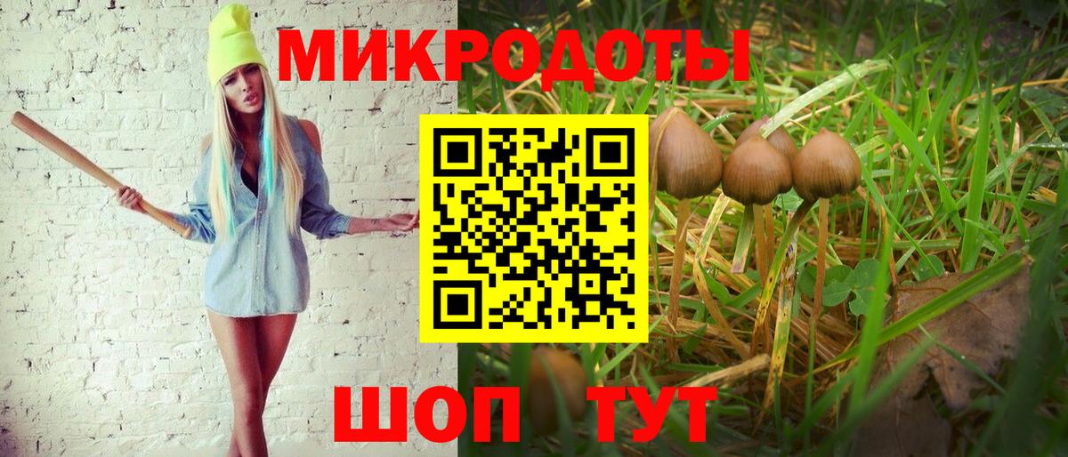 Туймазы  Псилоцибиновые грибы GOLDEN TEACHER  Вход с VPN 